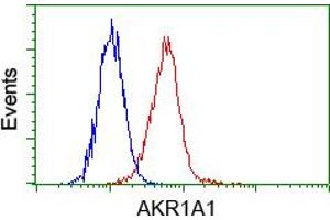 Image no. 5 for anti-Aldo-Keto Reductase Family 1, Member A1 (Aldehyde Reductase) (AKR1A1) antibody (ABIN1496544) (AKR1A1 antibody)