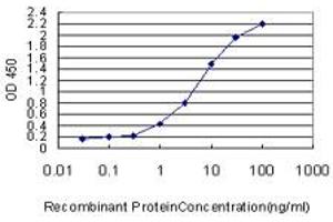 Detection limit for recombinant GST tagged PRKG1 is approximately 0. (PRKG1 antibody  (AA 73-170))