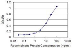 Detection limit for recombinant GST tagged WFDC2 is 0. (WFDC2 antibody  (AA 31-124))
