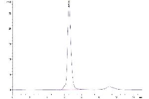 The purity of Human NKG2A/CD159a is greater than 95 % as determined by SEC-HPLC.