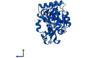Protein Structure (PS) image for Prostaglandin Reductase 1 (PTGR1) (AA 1-329) protein (His tag) (ABIN7560118)