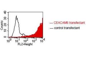 FACS analysis of BOSC23 cells using GM2H6. (CEACAM8 antibody)