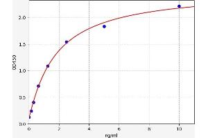 Typical standard curve (SLC5A1 ELISA Kit)