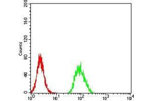 Flow cytometric analysis of Hela cells using RBFOX3 mouse mAb (green) and negative control (red). (NeuN antibody  (AA 1-140))