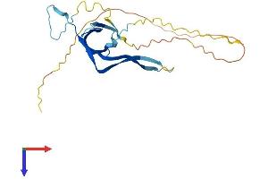 AlphaFold protein structure predicition of Mouse Recombinant Gtf3c6 Protein, UniprotID Q9D8P7 (GTF3C6 Protein (AA 1-227) (His tag))