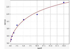 Typical standard curve (Isocitrate Dehydrogenase ELISA Kit)