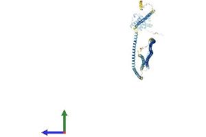 AlphaFold protein structure predicition of Human Recombinant HOOK1 Protein, UniprotID Q9UJC3