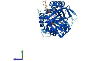 AlphaFold protein structure predicition of Human Recombinant SERPINB8 Protein, UniprotID P50452 (SERPINB8 Protein (AA 1-374) (His tag))