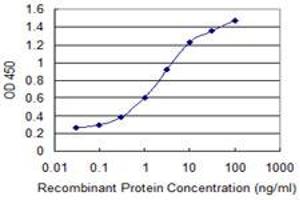Detection limit for recombinant GST tagged PSCA is 0. (PSCA antibody  (AA 23-95))