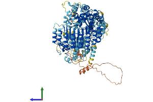 AlphaFold protein structure predicition of Human Recombinant NLRP13 Protein, UniprotID Q86W25