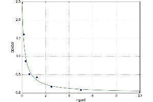 gamma-aminobutyric Acid (GABA) A Receptor, alpha 2 (GABRA2) ELISA Kit