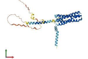 AlphaFold protein structure predicition of Mouse Recombinant Scamp3 Protein, UniprotID O35609