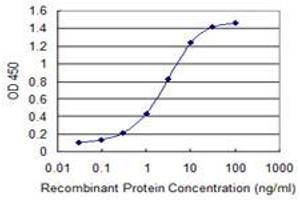 Detection limit for recombinant GST tagged HNRNPA2B1 is 0. (HNRNPA2B1 antibody  (AA 1-249))