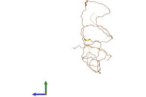 AlphaFold protein structure predicition of Human Recombinant KRTAP5-1 Protein, UniprotID Q6L8H4 (KRTAP5-1 Protein (AA 1-278) (His tag))