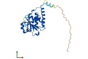 AlphaFold protein structure predicition of Mouse Recombinant Styx Protein, UniprotID Q60969 (STYX Protein (AA 1-223) (His tag))