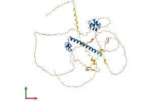 AlphaFold protein structure predicition of Human Recombinant DMRTA1 Protein, UniprotID Q5VZB9