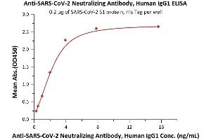 Immobilized SARS-CoV-2 S1 protein, His Tag (ABIN6952623) at 2 μg/mL (100 μL/well) can bind Anti-SARS-CoV-2 Neutralizing Antibody, Human IgG1 (ABIN6952616) with a linear range of 0. (Recombinant SARS-CoV-2 Spike S1 antibody  (RBD))