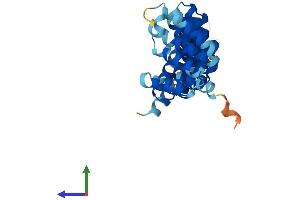 AlphaFold protein structure predicition of Human Recombinant NAPA Protein, UniprotID P54920 (NAPA Protein (AA 1-295) (His tag))