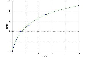 A typical standard curve
