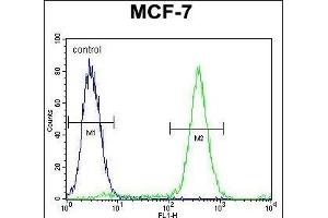 QTRTD1 Antibody (C-term) (ABIN655642 and ABIN2845119) flow cytometric analysis of MCF-7 cells (right histogram) compared to a negative control cell (left histogram). (QTRTD1 antibody  (C-Term))