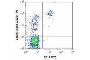 Flow Cytometry (FACS) image for anti-Chemokine (C-X-C Motif) Receptor 5 (CXCR5) antibody (PE) (ABIN2662489) (CXCR5 antibody  (PE))