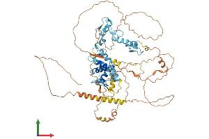 AlphaFold protein structure predicition of Human Recombinant ZBTB7C Protein, UniprotID A1YPR0