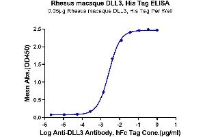 ELISA image for delta Like Protein 3 (DLL3) (AA 27-490) protein (His tag) (ABIN7274489)
