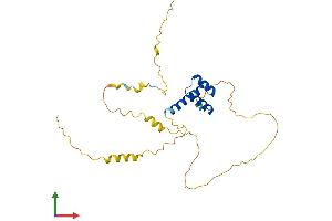 Protein Structure (PS) image for BARX Homeobox 1 (BARX1) (AA 1-254) protein (His tag) (ABIN7552725)