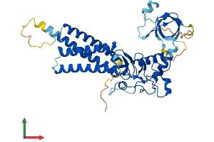 AlphaFold protein structure predicition of Human Recombinant ZDHHC6 Protein, UniprotID Q9H6R6