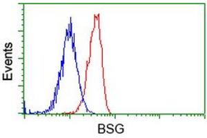 Image no. 3 for anti-Basigin (Ok Blood Group) (BSG) antibody (ABIN1498015) (CD147 antibody)