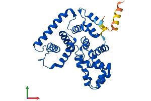 Protein Structure (PS) image for TBC1 Domain Family, Member 7 (TBC1D7) (AA 1-293) protein (His tag) (ABIN7544195)