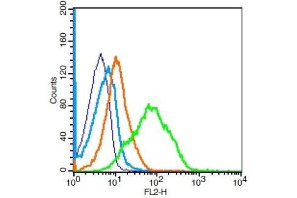 CD1d1 antibody  (AA 51-150)