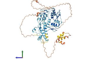 Protein Structure (PS) image for Zinc Finger Protein 643 (ZNF643) (AA 1-534) protein (His tag) (ABIN7545436)