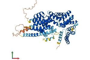 AlphaFold protein structure predicition of Mouse Recombinant Ttc39c Protein, UniprotID Q8VE09 (TTC39C Protein (AA 1-580) (His tag))