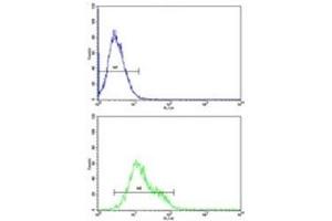 Flow Cytometry (FACS) image for anti-Intercellular Adhesion Molecule 1 (ICAM1) (AA 488-514) antibody (ABIN3028746)
