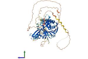 AlphaFold protein structure predicition of Human Recombinant USP51 Protein, UniprotID Q70EK9 (USP51 Protein (AA 1-711) (His tag))
