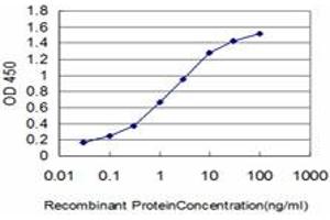 Detection limit for recombinant GST tagged HSPA1B is approximately 0. (HSPA1B antibody  (AA 531-611))