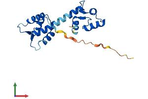 AlphaFold protein structure predicition of Mouse Recombinant Cetn1 Protein, UniprotID P41209 (Centrin 1 Protein (AA 1-172) (His tag))