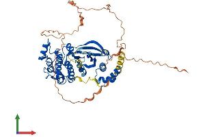 AlphaFold protein structure predicition of Mouse Recombinant Smok2b Protein, UniprotID Q9QYZ3 (Smok2b Protein (AA 1-484) (His tag))