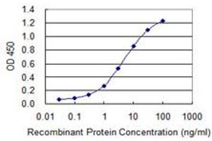 Detection limit for recombinant GST tagged PMFBP1 is 0. (PMFBP1 antibody  (AA 99-197))