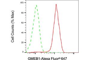 Flow cytometric analysis of GMEB1 expression in HAP-1 cells using GMEB1 antibody (ABIN7798728), 1:2,000). (Recombinant GMEB1 antibody)