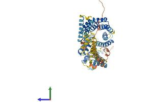 AlphaFold protein structure predicition of Human Recombinant IFIT3 Protein, UniprotID O14879 (IFIT3 Protein (AA 1-490) (His tag))