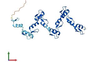 AlphaFold protein structure predicition of Human Recombinant ZNF146 Protein, UniprotID Q15072 (ZNF146 Protein (AA 1-292) (His tag))