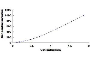 Vascular Endothelial Growth Factor B (VEGFB) ELISA Kit
