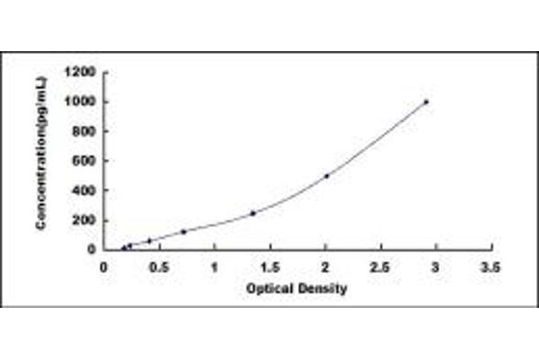 Netrin 1 ELISA Kit