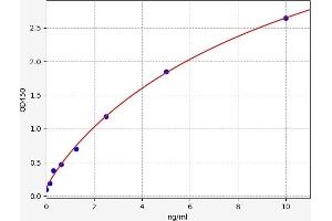Typical standard curve (CREB1 ELISA Kit)