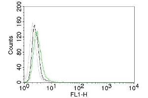 Flow Cytometry of EGFR on Mouse NIH/3T3 cells. (EGFR antibody  (Extracellular Domain) (CF®488A))