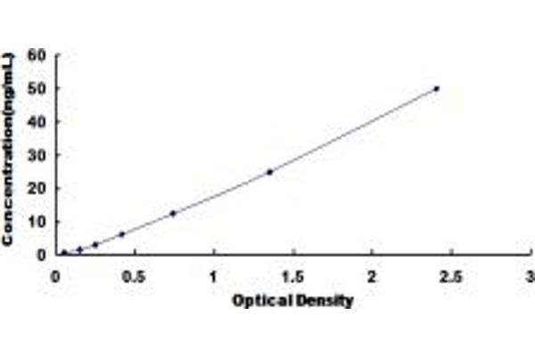 ATP5J ELISA Kit