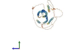 AlphaFold protein structure predicition of Human Recombinant GOLGA8M Protein, UniprotID H3BSY2 (GOLGA8M Protein (AA 1-632) (His tag))