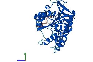 Protein Structure (PS) image for serine Hydrolase-Like (SERHL) (AA 1-311) protein (His tag) (ABIN7561378)